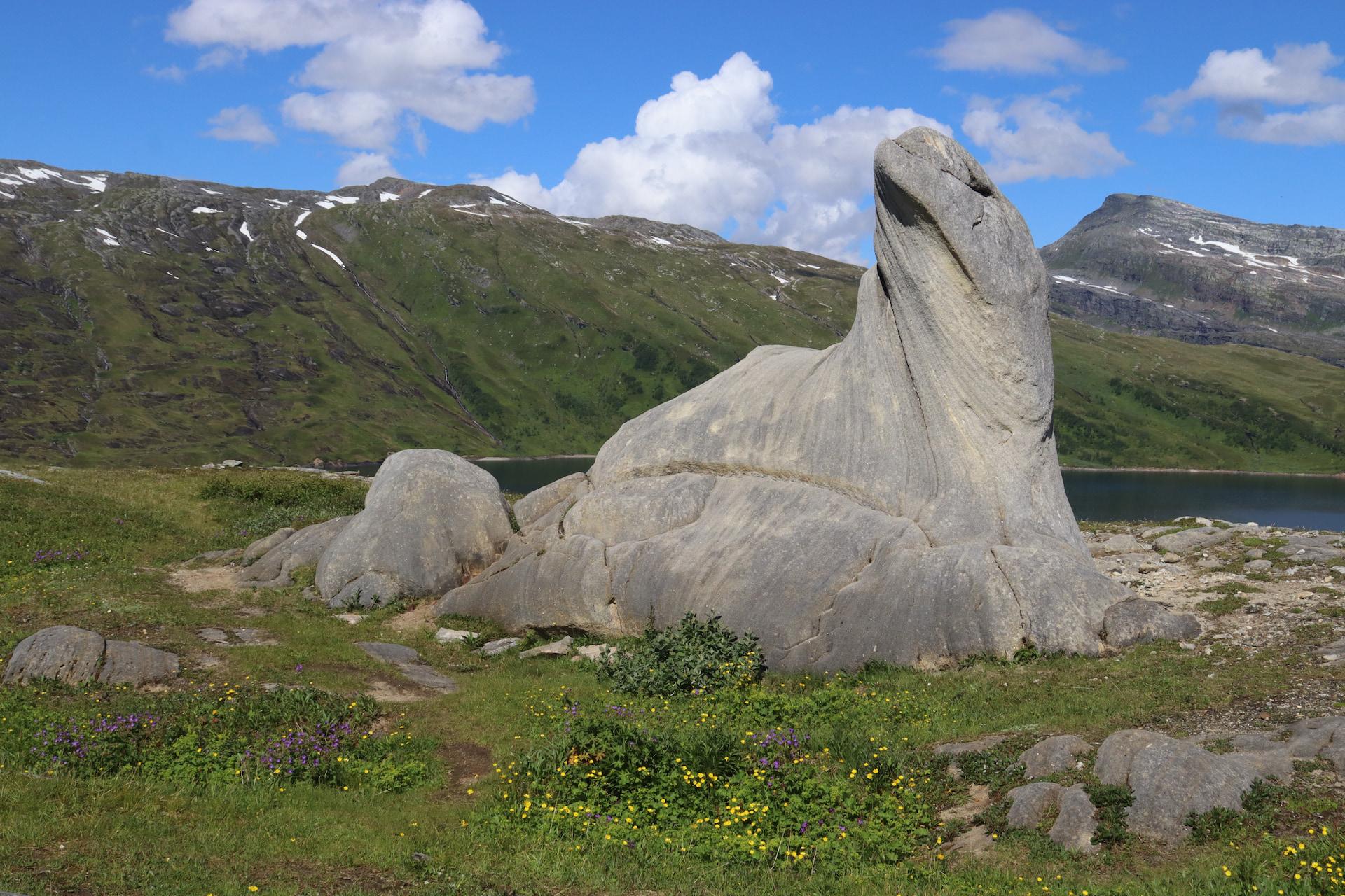 View of Glomfjordløva