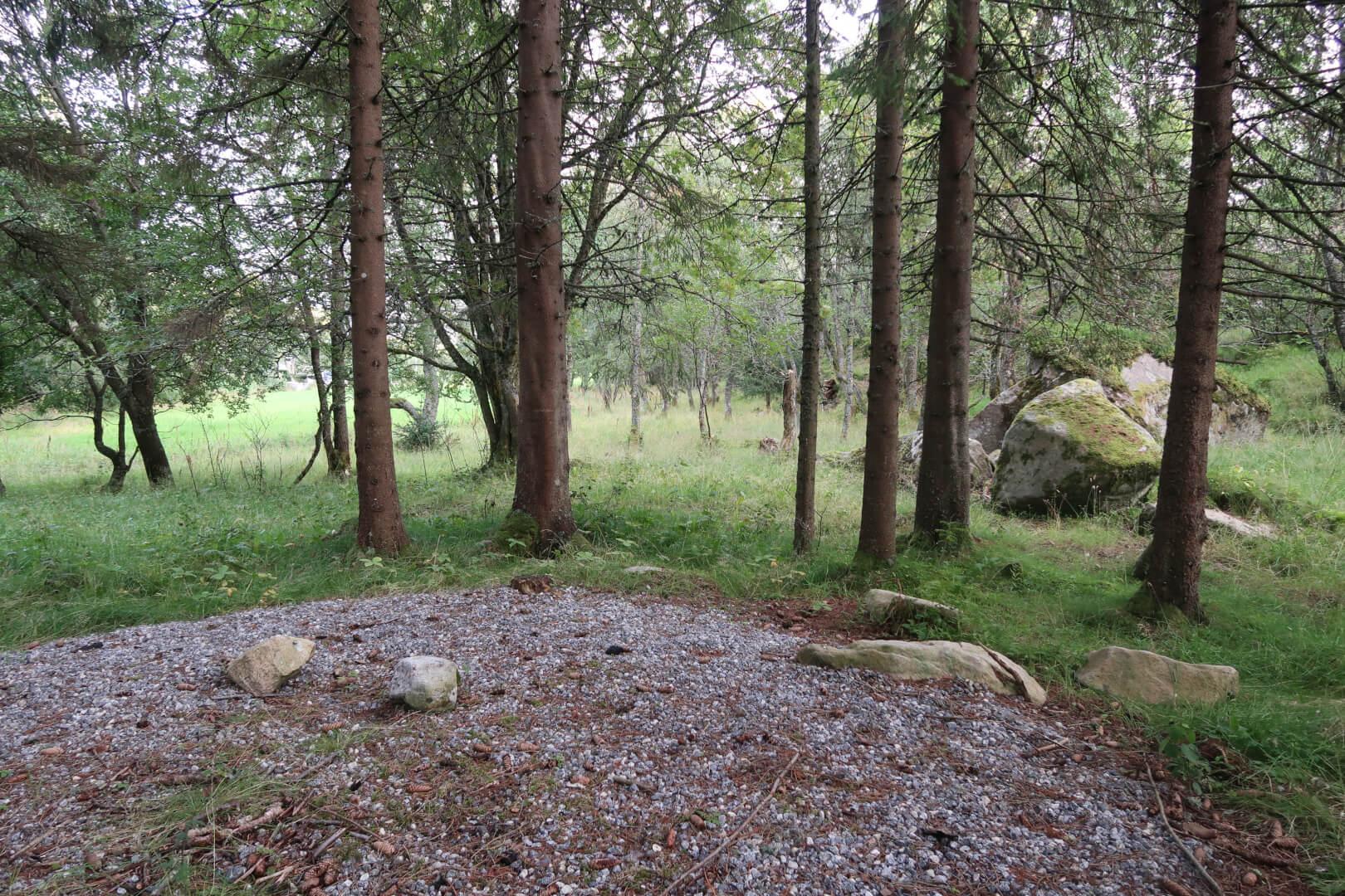 View of Hundremeterskogen